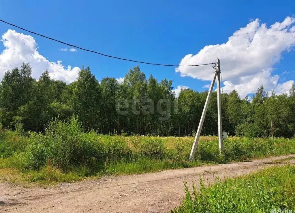 Участок в Ленинградская область, Ломоносовский район, Виллозское ... - Фото 1