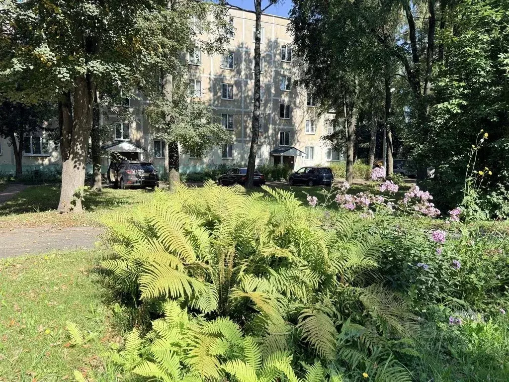 2-к кв. Московская область, Дмитровский муниципальный округ, пос. ... - Фото 1