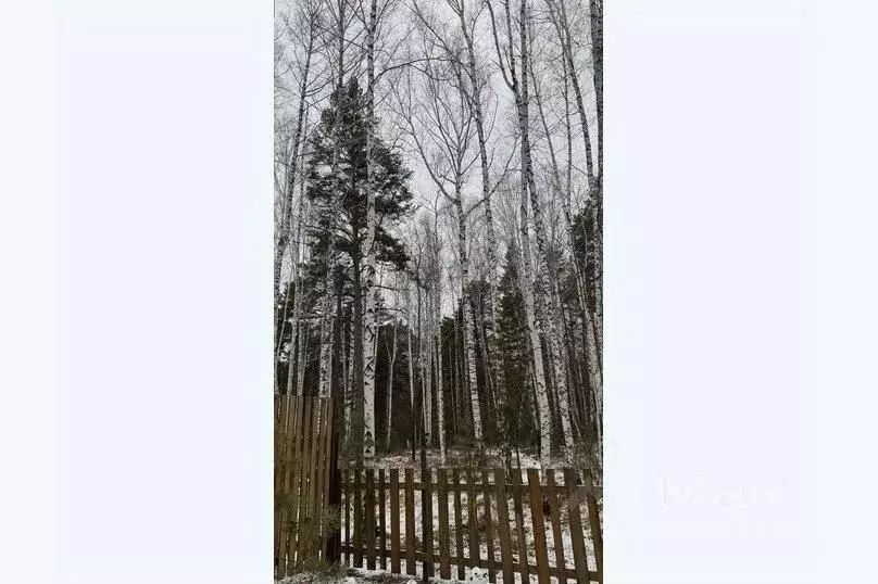 Дом в Свердловская область, Верхнее Дуброво пгт ул. Добрая, 38 (140 м) - Фото 1