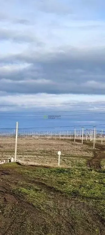 Участок в Крым, Симферопольский район, Николаевка пгт ул. Звездная ... - Фото 0