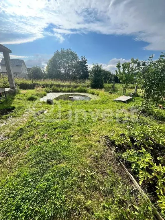 Дом в Калининградская область, Калининград Колосок СНТ, ул. Новая, 38 ... - Фото 1