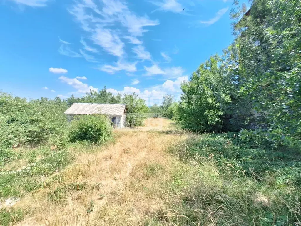 Участок в Севастополь с. Павловка, ул. Грушевая, 15 (15.0 сот.) - Фото 1