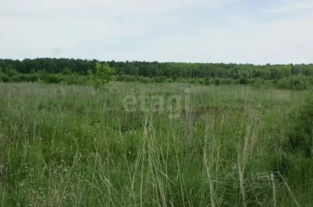 Участок в Пермский край, Оханский муниципальный округ, д. Березовка  ... - Фото 1