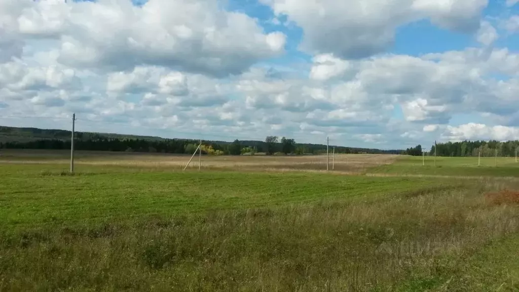 Участок в Пермский край, Ильинский муниципальный округ, с. ... - Фото 1