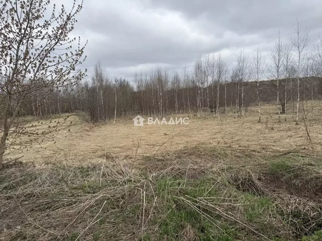 Участок в Владимирская область, Собинский муниципальный округ, д. ... - Фото 1