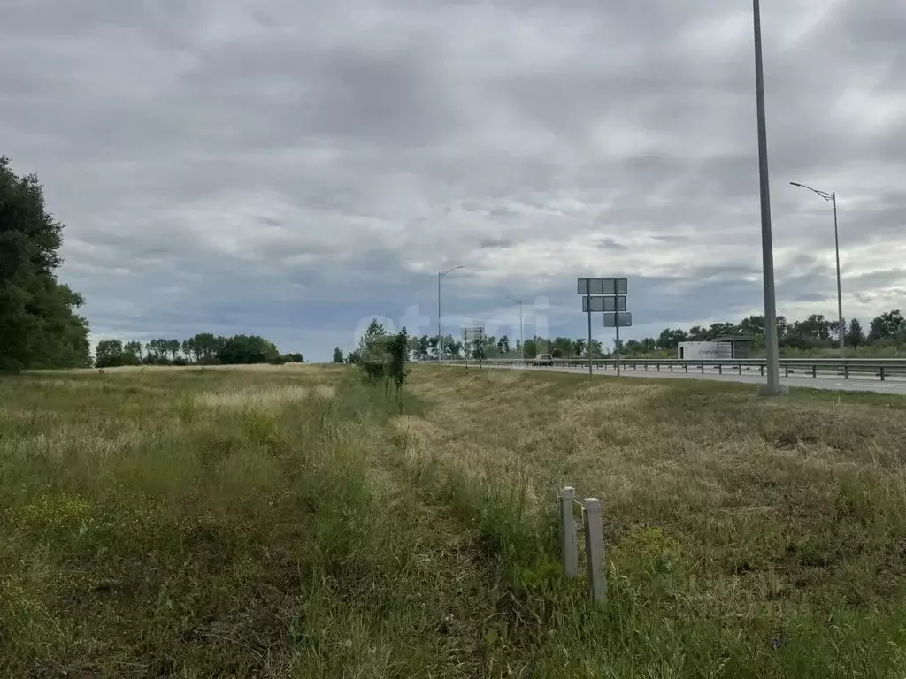 Участок в Белгородская область, Белгородский муниципальный округ, с. ... - Фото 2