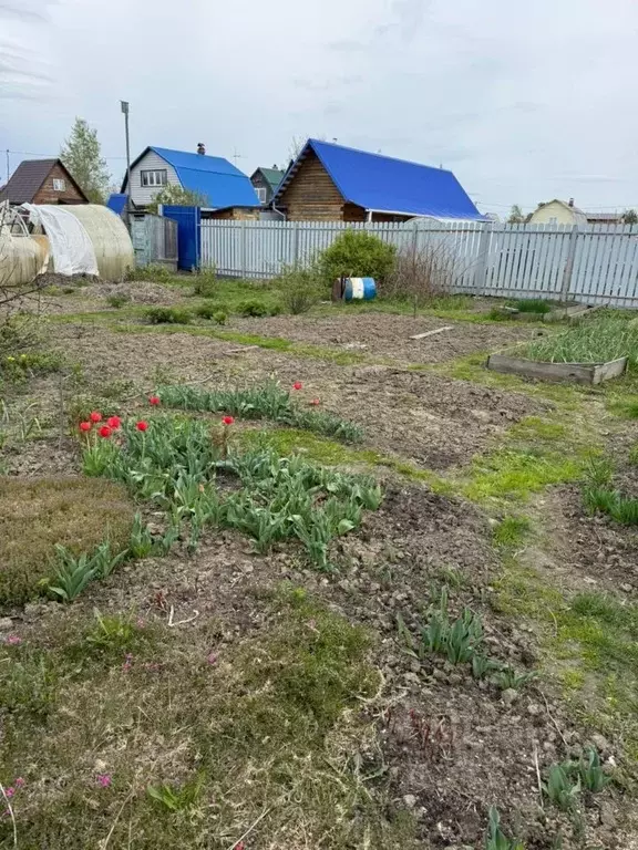 Участок в Новосибирская область, Коченевский район, Дружба-2 СНТ ул. ... - Фото 2