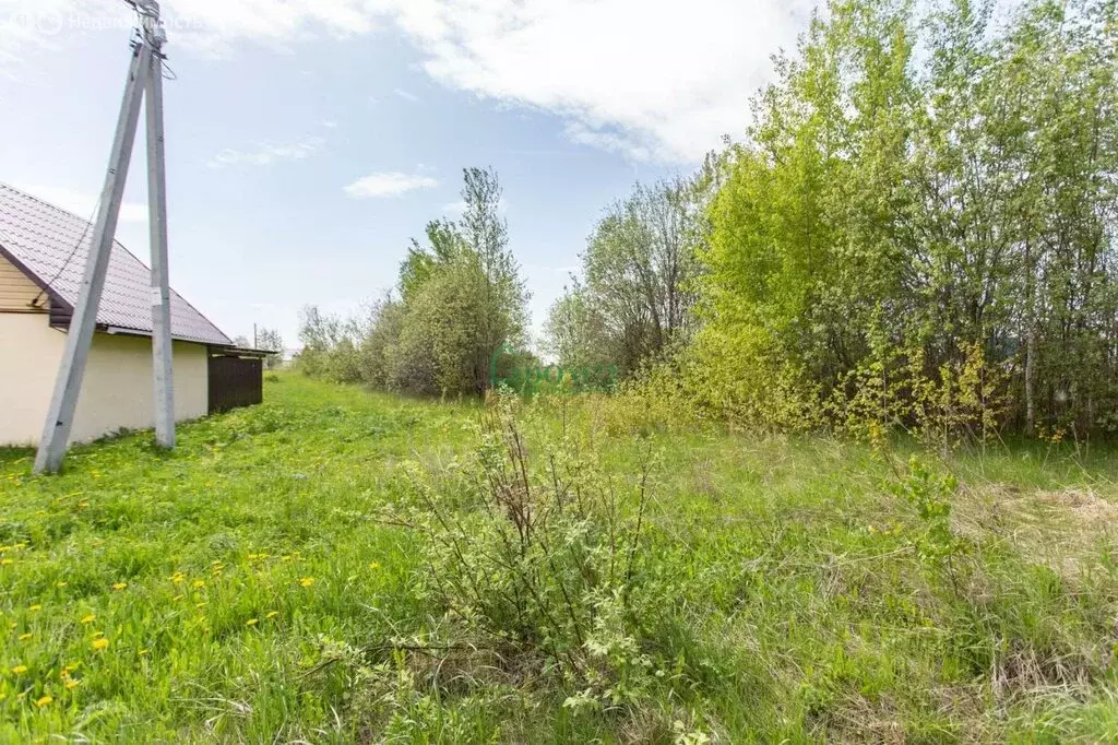 Участок в село Абалак, улица Мира, 4 (15 м) - Фото 1