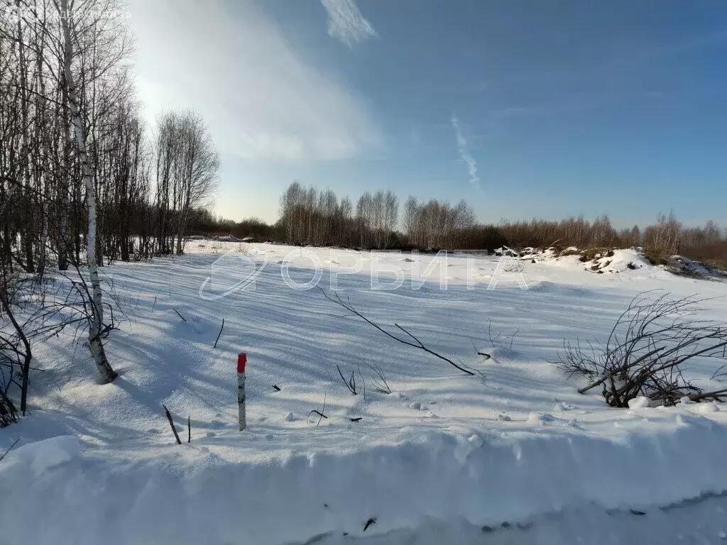 Участок в Нижнетавдинский район, садоводческое некоммерческое ... - Фото 0