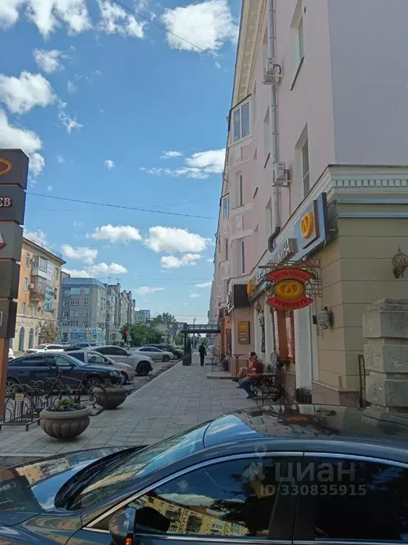 2-к кв. Омская область, Омск ул. Пушкина, 112 (56.0 м) - Фото 1