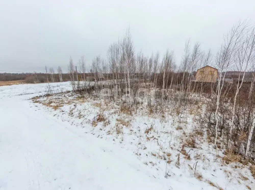 Участок в Тюменская область, Нижнетавдинский район, Душевное садовое ... - Фото 0