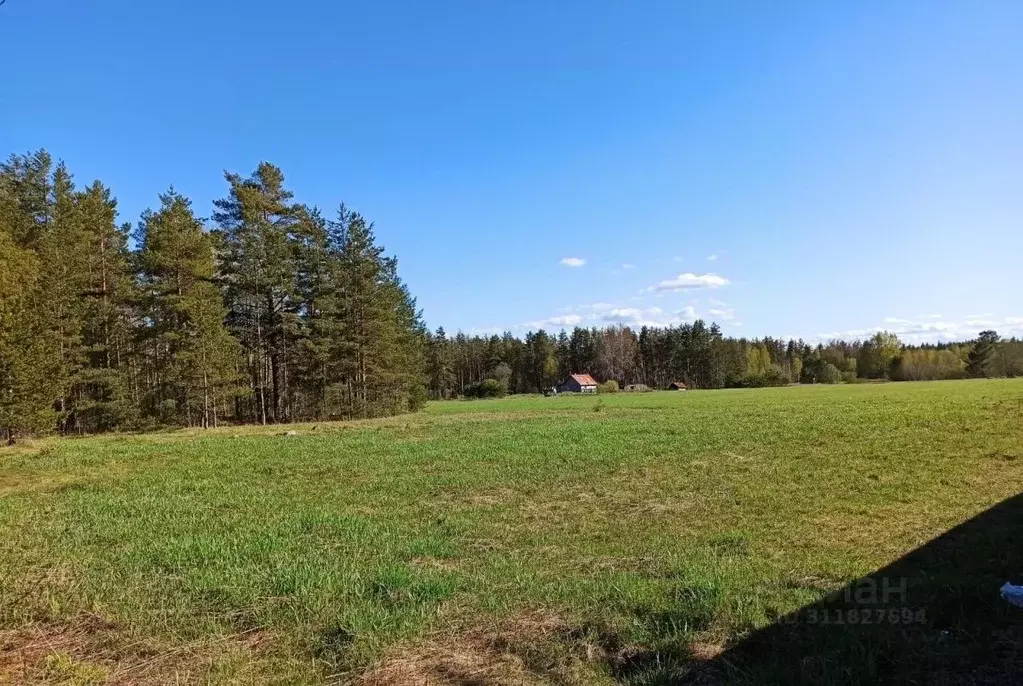 Участок в Ленинградская область, Выборгский район, Гончаровское с/пос, ... - Фото 0