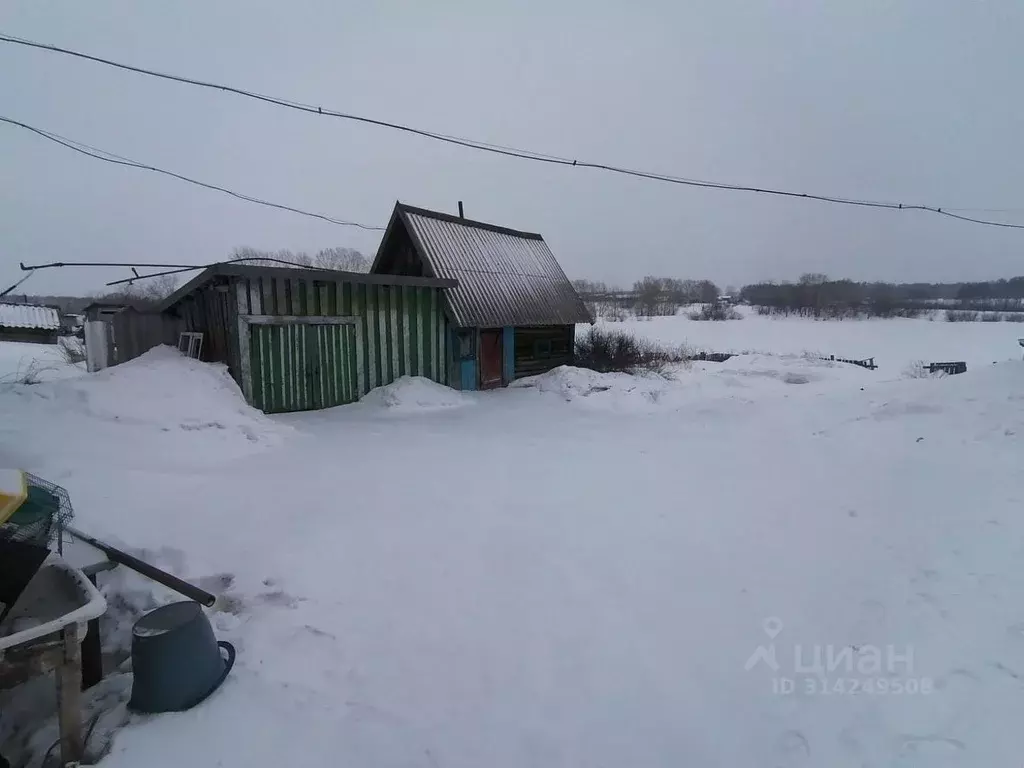 Дом в Новосибирская область, Тогучинский район, с. Лекарственное  (44 ... - Фото 1