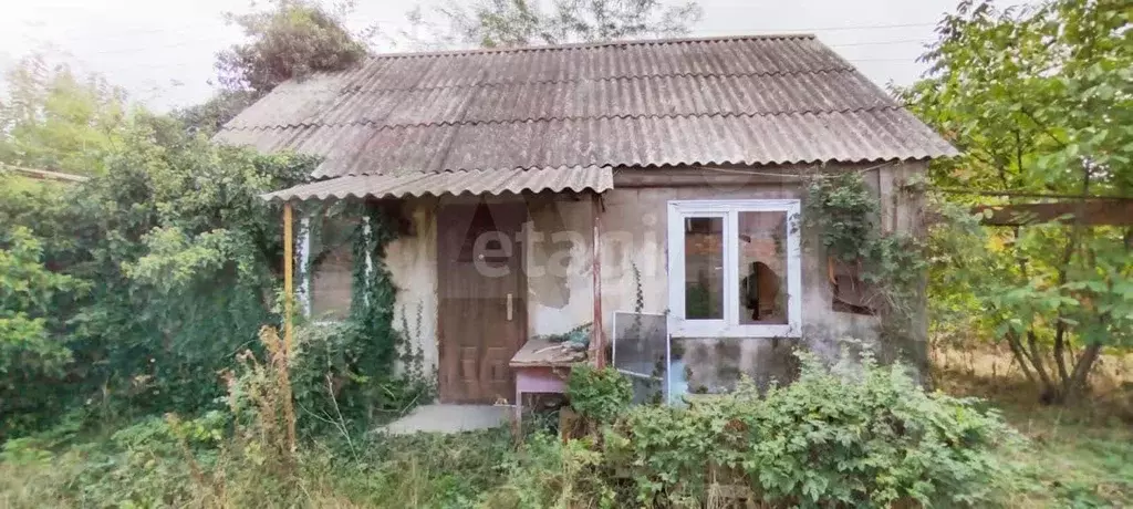 Дом 39,8 м на участке 18,6 сот. - Фото 1