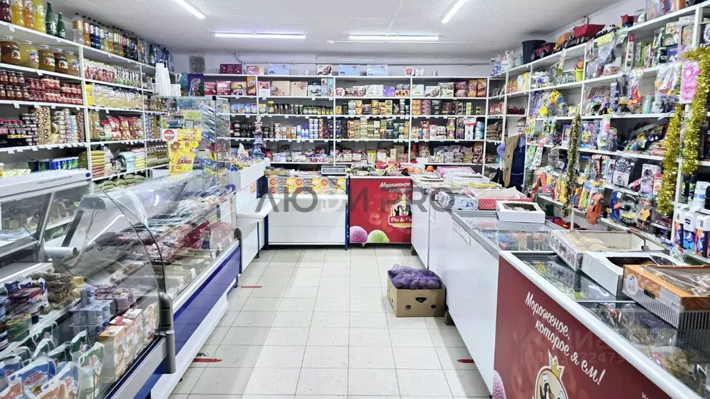 Помещение свободного назначения в Саратовская область, Новоузенск 1-й ... - Фото 2