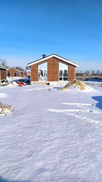 Дом в Воронежская область, Новоусманский район, Бабяковское с/пос, ... - Фото 1