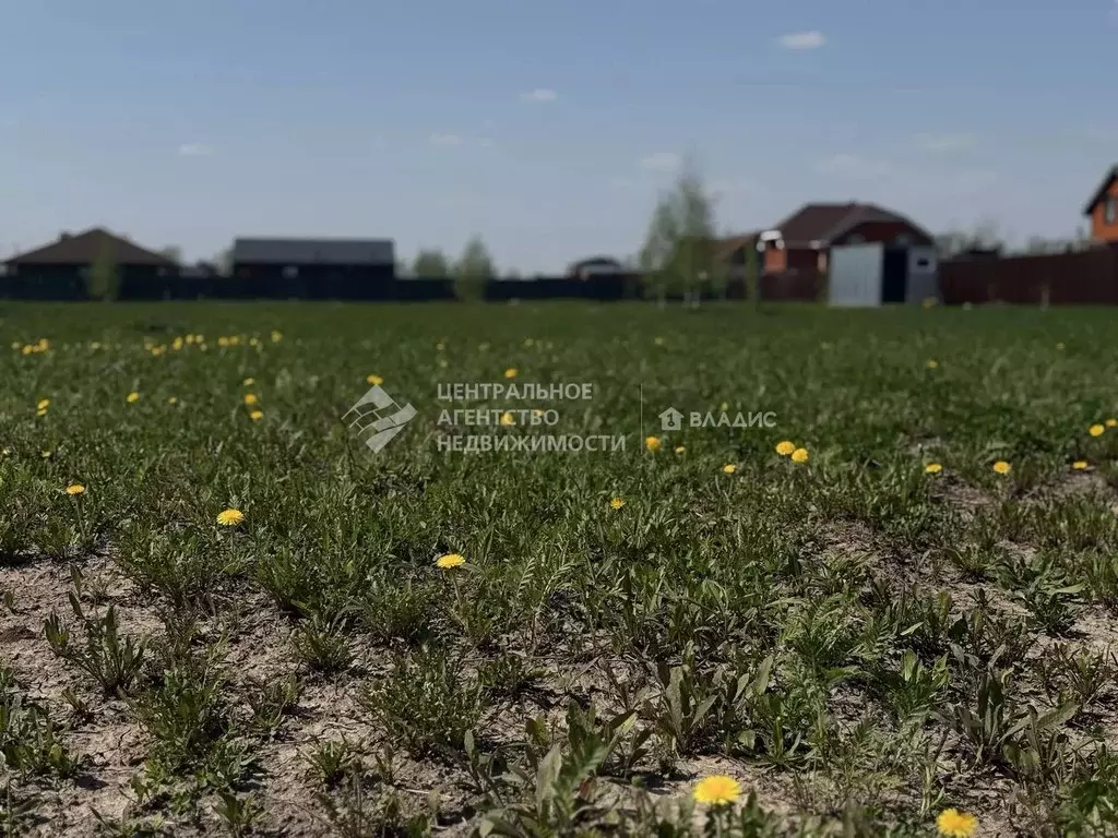 Участок в Рязанская область, Рязанский муниципальный округ, д. Дубняки ... - Фото 1