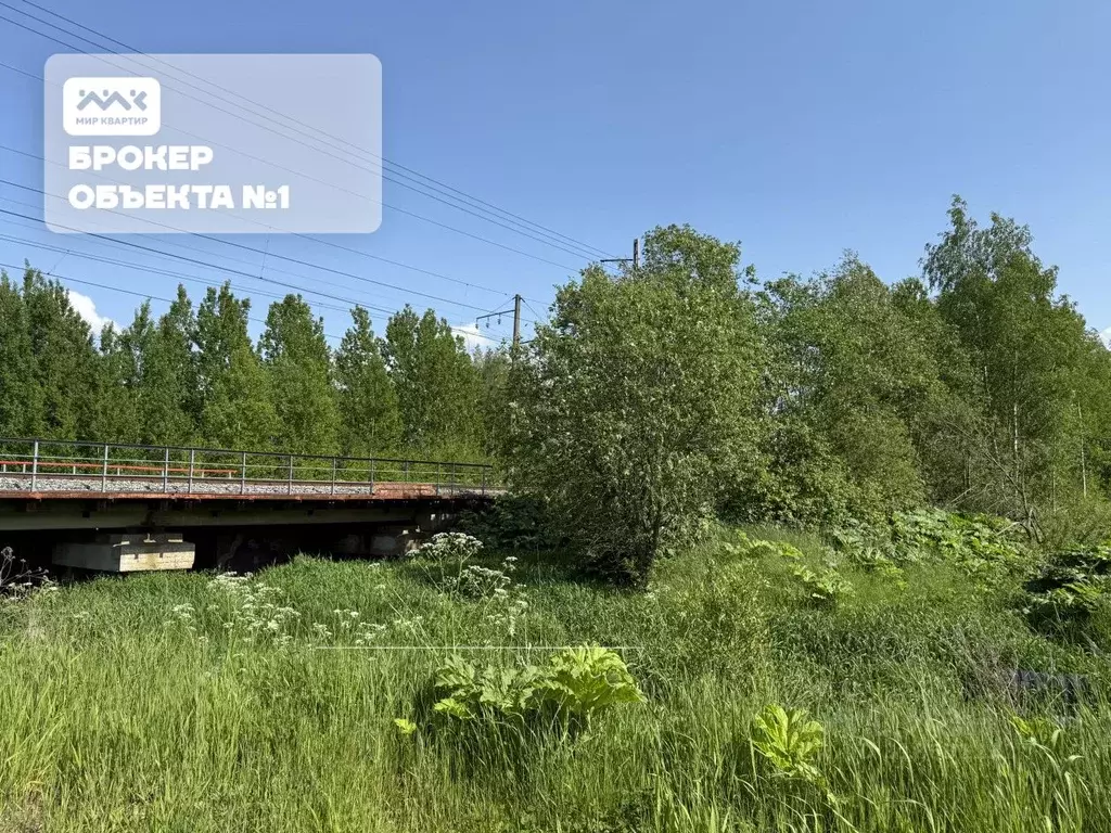 Участок в Ленинградская область, Всеволожский район, Заневское ... - Фото 0