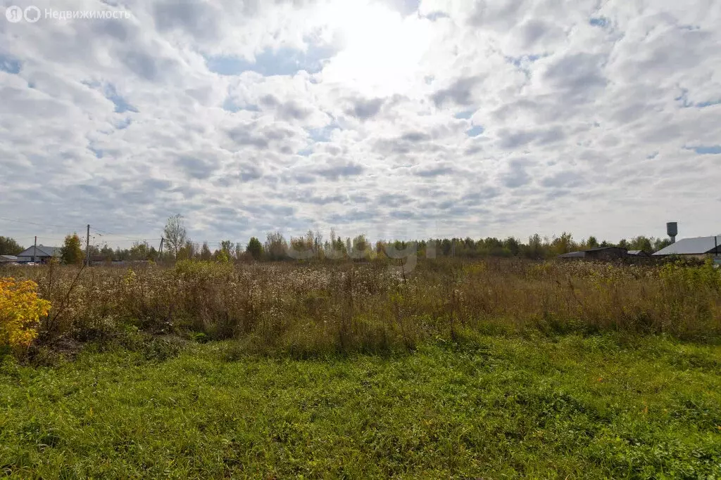 Участок в Тюменская область, Ярковский муниципальный округ, посёлок ... - Фото 2