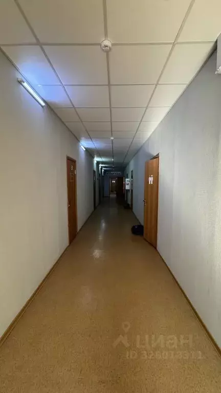 Офис в Тюменская область, Тюмень ул. Володарского, 49к1 (25 м) - Фото 2