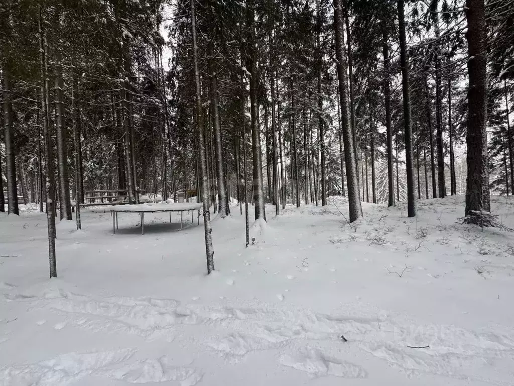 Участок в Санкт-Петербург пос. Репино, Ленгипроречтранс СНТ, ул. ... - Фото 1