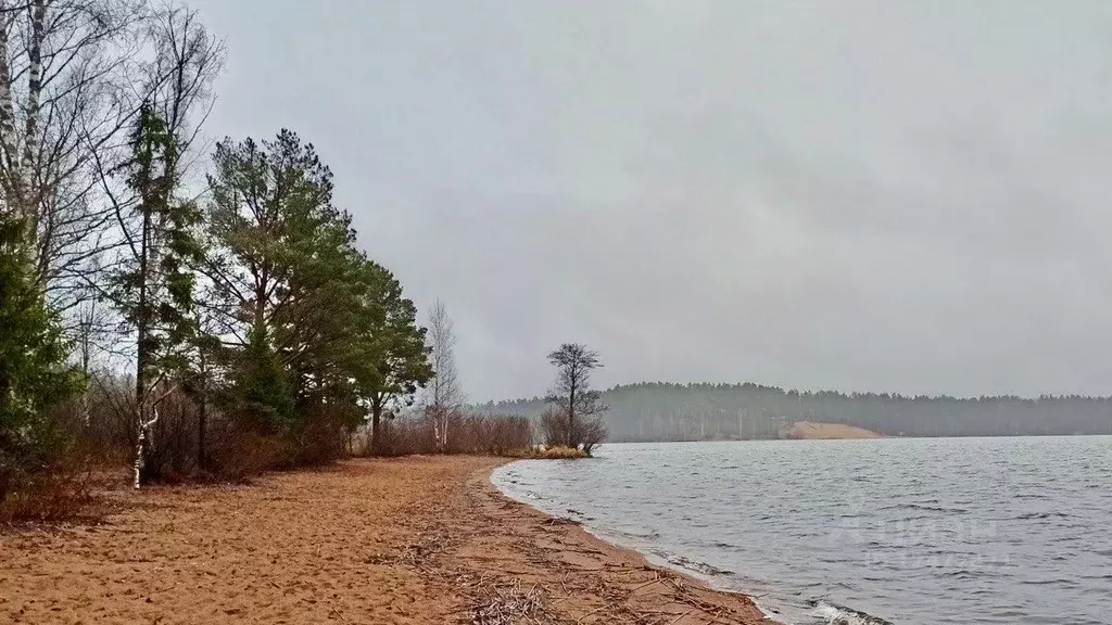 3-к кв. Ленинградская область, Выборгский район, Первомайское с/пос, ... - Фото 2