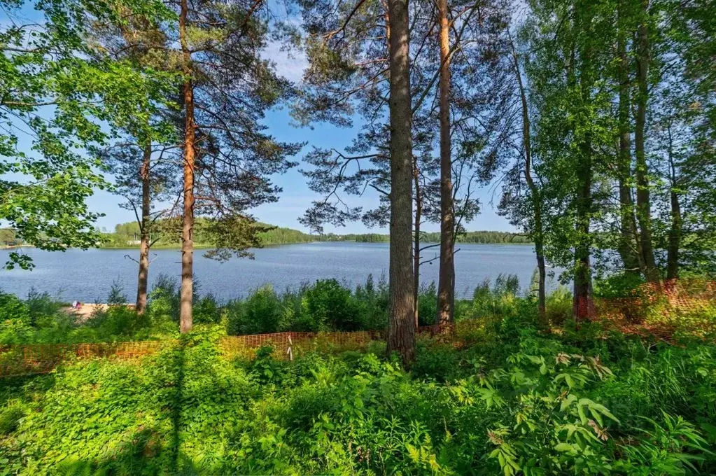 Участок в Ленинградская область, Всеволожский район, Куйвозовское ... - Фото 0