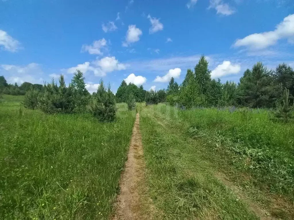 Участок в Смоленская область, Демидовский муниципальный округ, ... - Фото 1