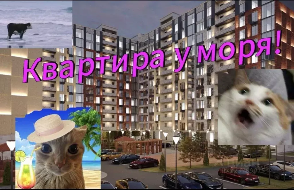 1-к кв. Дагестан, Махачкала просп. Насрутдинова, 162 (45.0 м) - Фото 1