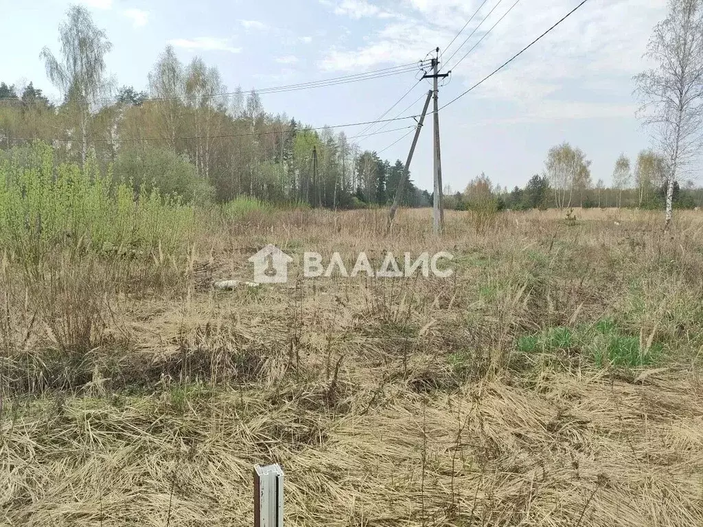 Участок в Московская область, Ногинск Богородский городской округ, ул. ... - Фото 1