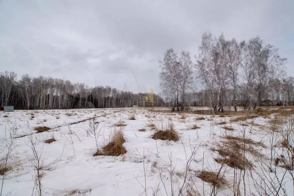 Участок 9,6 сот. (ИЖС) - Фото 1