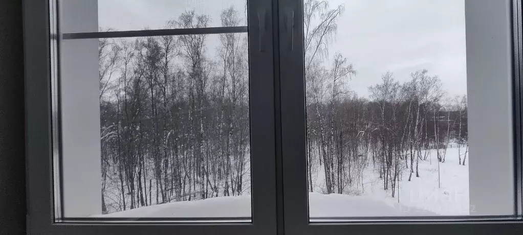 3-к кв. Московская область, Ленинский городской округ, пос. Развилка ... - Фото 2