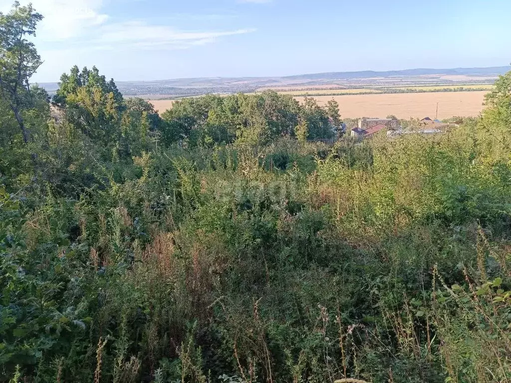 Участок в Краснодарский край, муниципальный округ Анапа, село Супсех ... - Фото 1