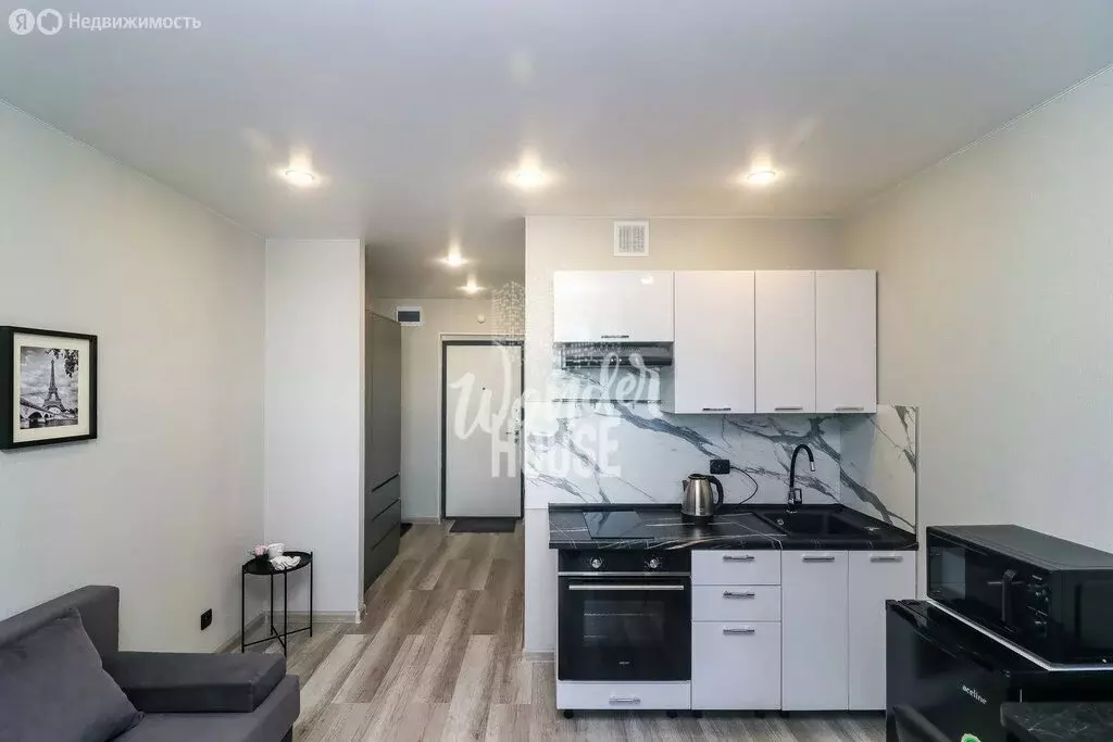 Квартира-студия: деревня Патрушева, улица Александра Пушкина, 16 (19.6 ... - Фото 1