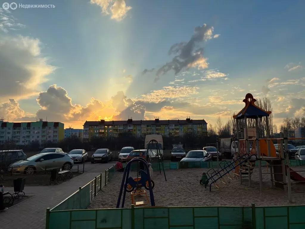 Квартира-студия: село Новая Усмань, Полевая улица, 36А (33 м) - Фото 2