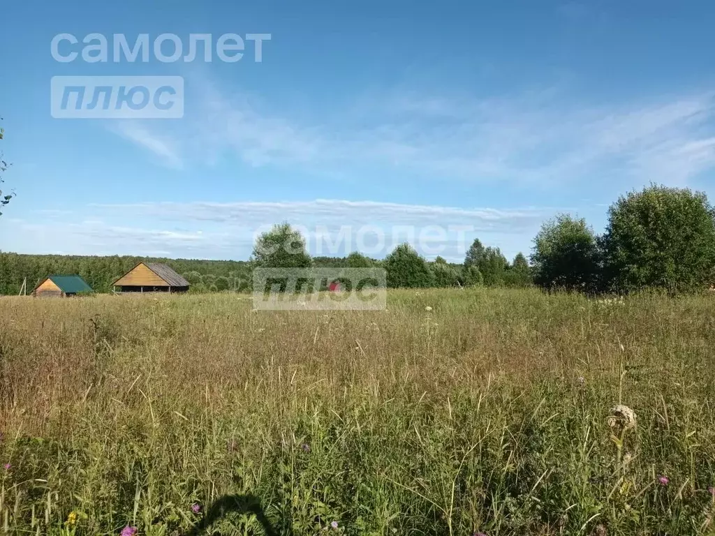 Участок в Вологодская область, Дикая ж/д_ст  (15.91 сот.) - Фото 1