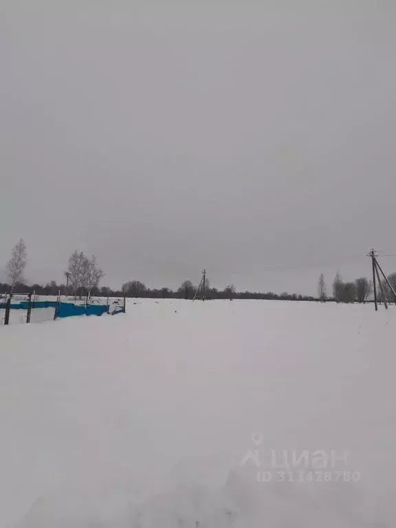 Участок в Московская область, Можайский муниципальный округ, д. Лусось ... - Фото 0