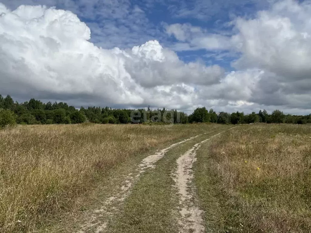 Участок в Ленинградская область, Кировское городское поселение, ... - Фото 0