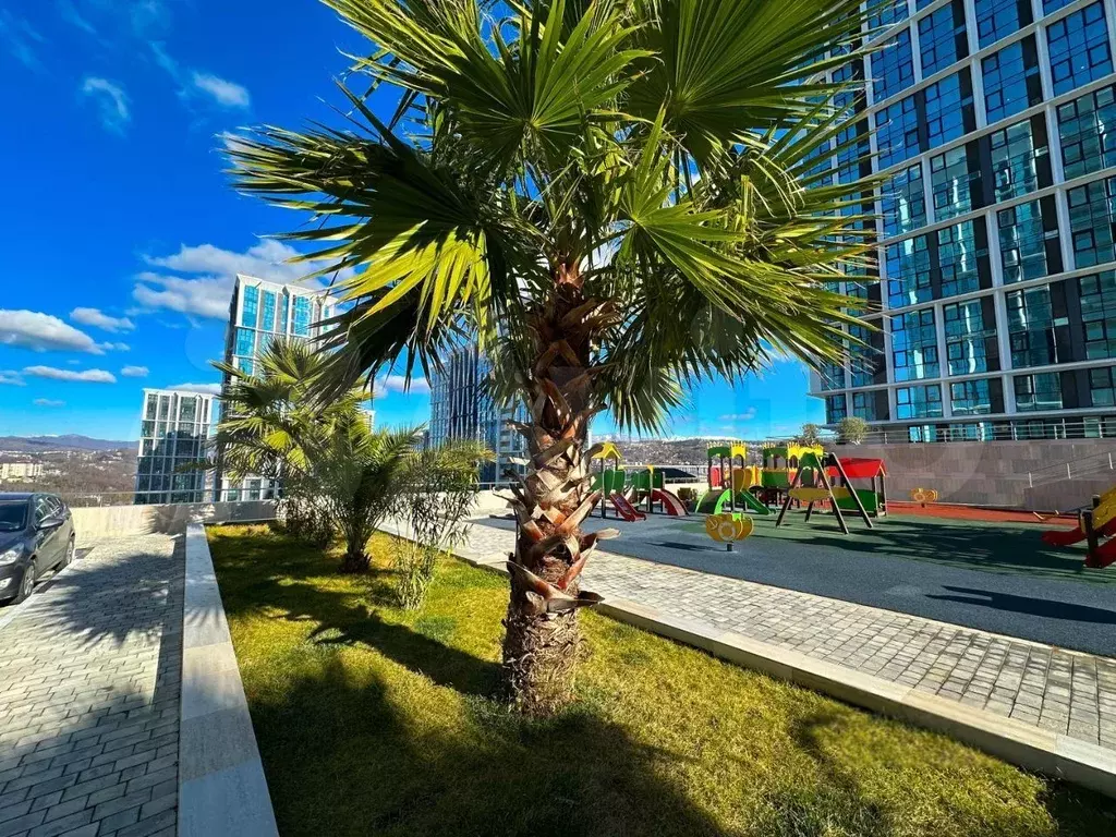 Квартира-студия, 24,1 м, 3/19 эт. - Фото 1