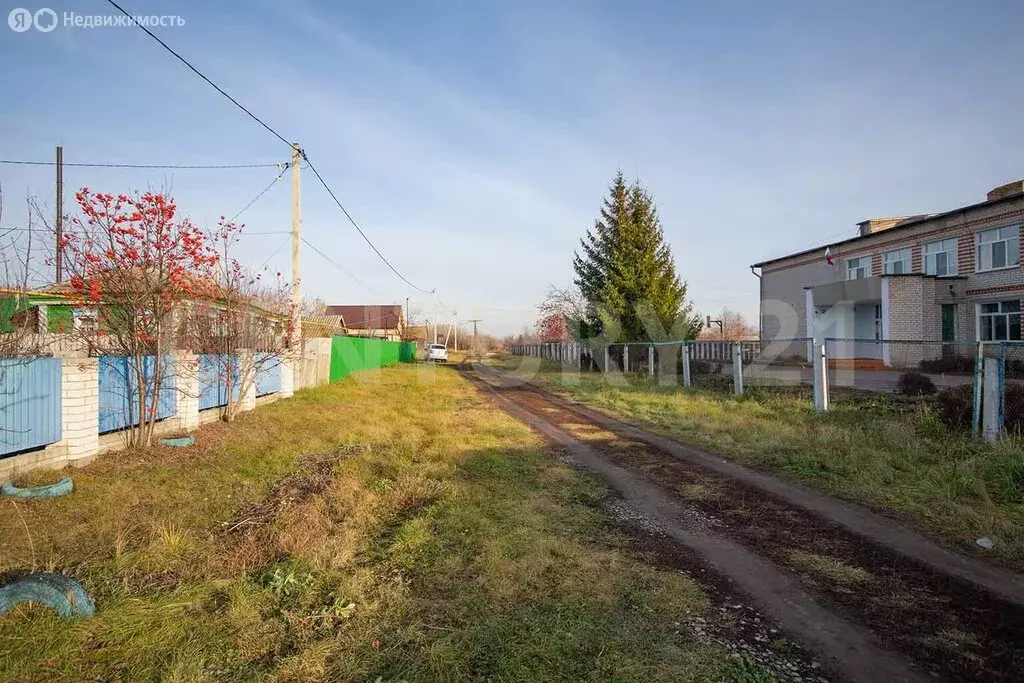 Дом в Петровское, Центральная улица, 55 (39.9 м) - Фото 2