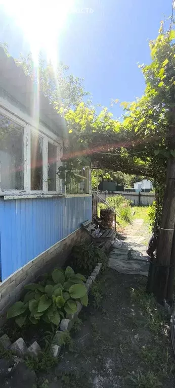 Дом в Саратов, посёлок Лесопильный, Лесопильная улица, 27 (50.5 м) - Фото 0