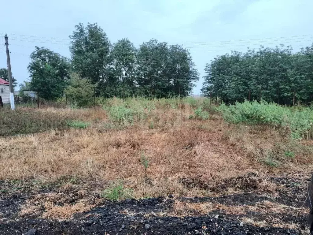 Участок в Ростовская область, Азовский район, Отрадовское с/пос, ... - Фото 1