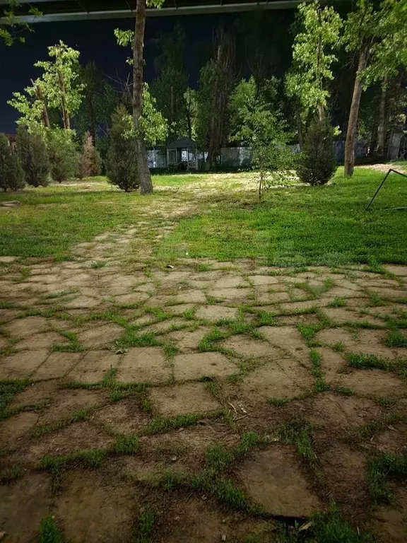 Участок 12 сот. (СНТ, ДНП) - Фото 0