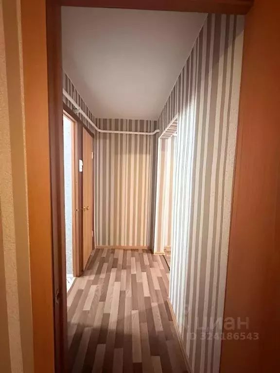 1-к кв. Московская область, Богородский городской округ, пос. ... - Фото 2