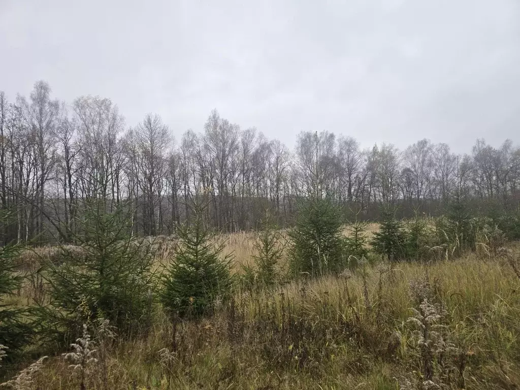 Участок в Тульская область, Тула городской округ, д. Интюшово  (26.0 ... - Фото 2