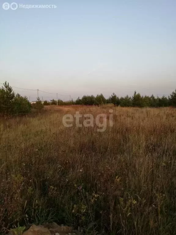 Участок в Курганская область, Шадринский муниципальный округ, село ... - Фото 1