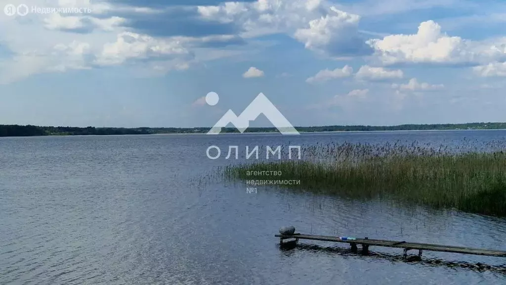 Участок в Вологодская область, Кирилловский муниципальный округ, ... - Фото 1