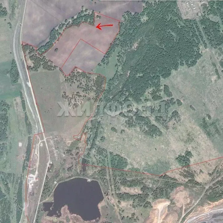 Участок в Новосибирская область, Тогучинский район, Горный рп  (10.41 ... - Фото 2