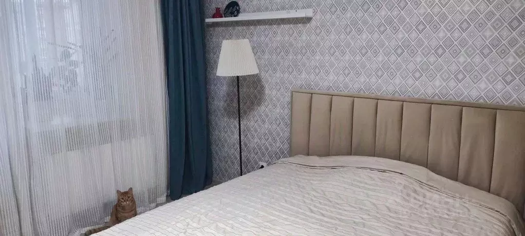 2-к кв. Новгородская область, Великий Новгород Нехинская ул., 36к1 ... - Фото 2