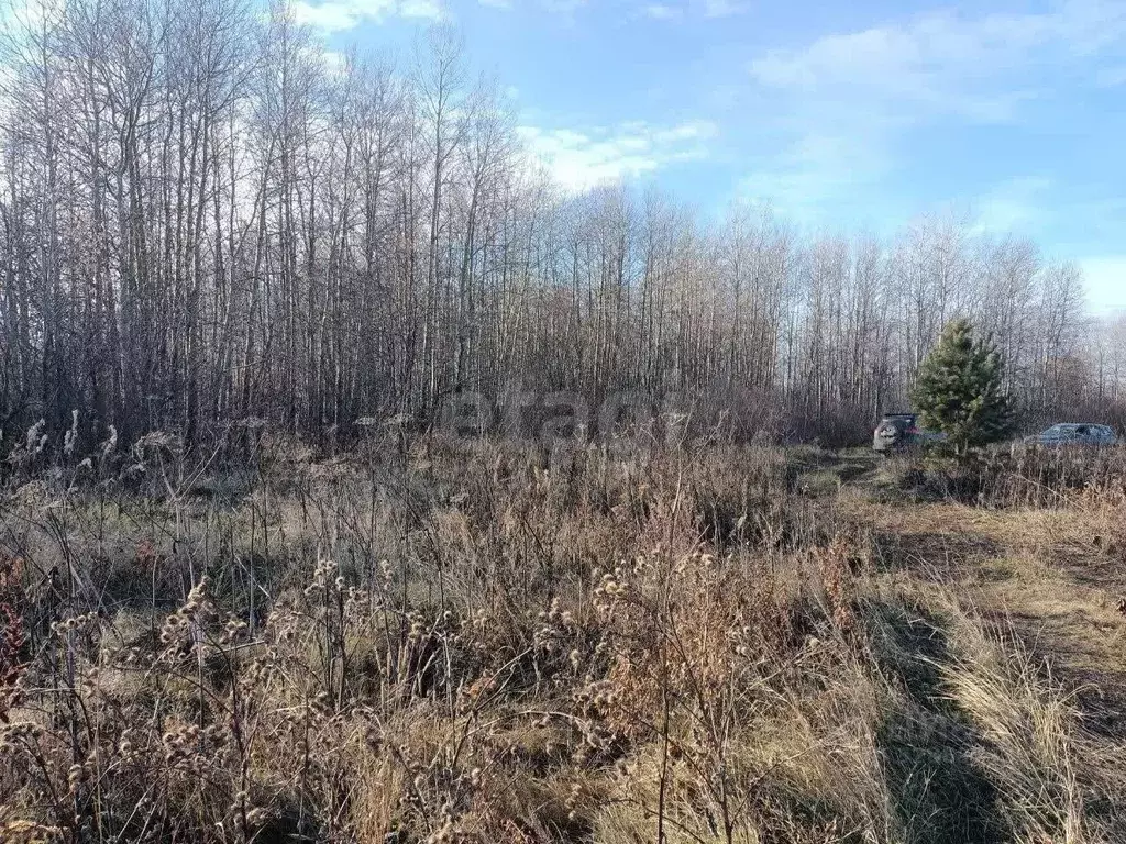 Участок в Тюменская область, Тюменский муниципальный округ, ... - Фото 1